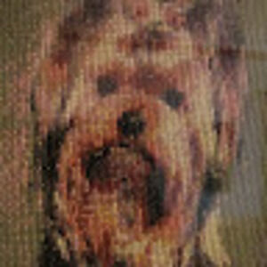 Meet your Posher, Babe